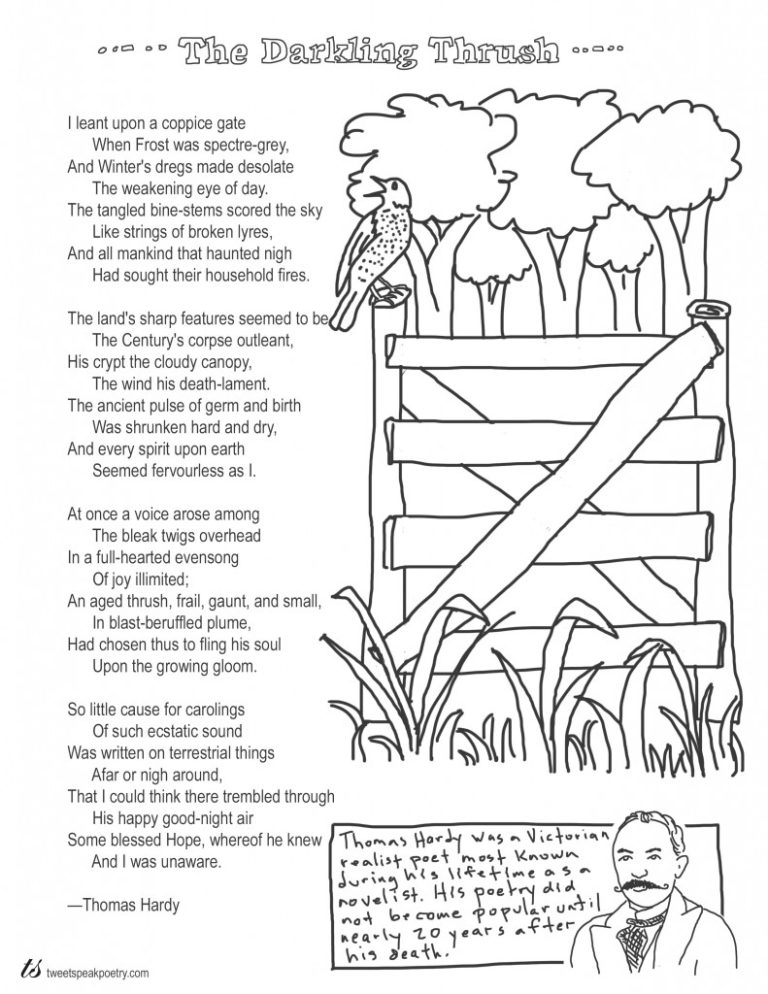 A child carefully coloring an intricate illustration of a forest scene