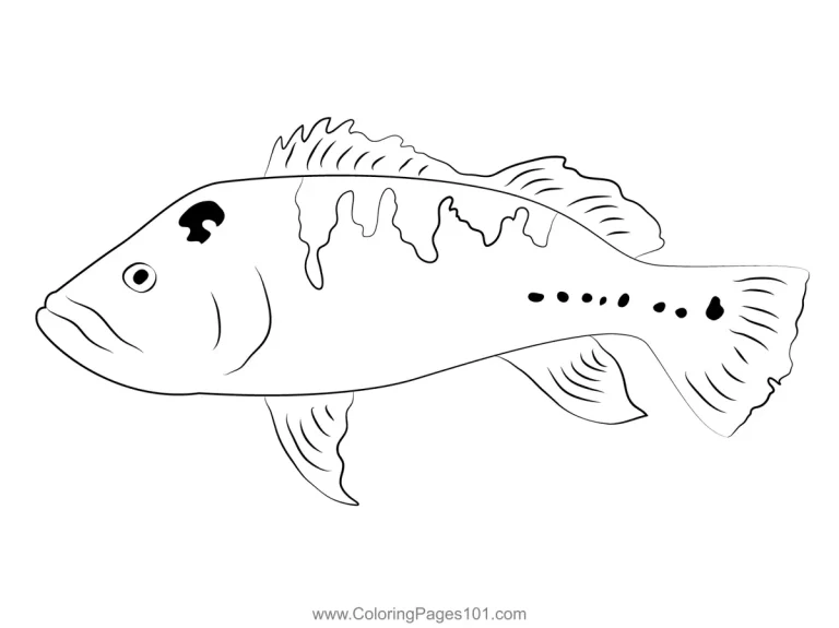 A close-up of a child coloring a detailed bass fish outline