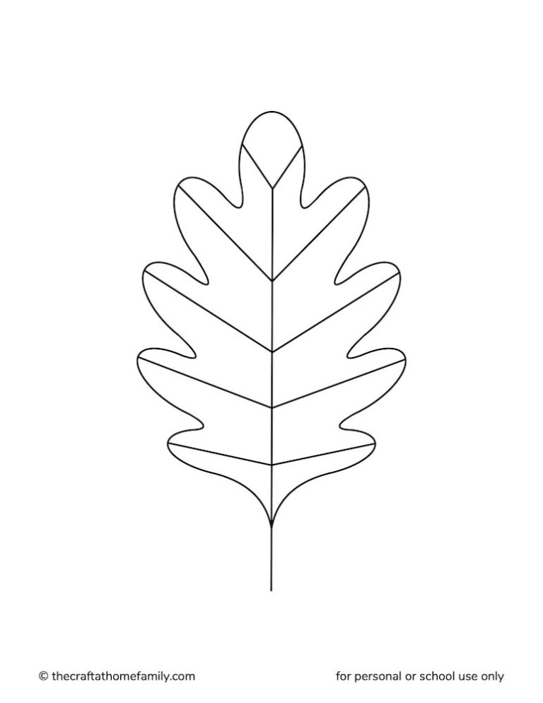 A collection of various printable leaf outlines displayed on a wooden desk