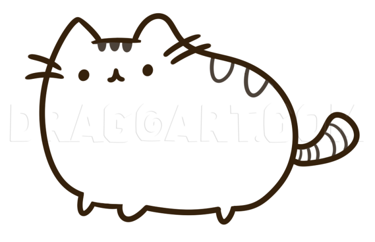 A hand drawing a cute round cat on paper
